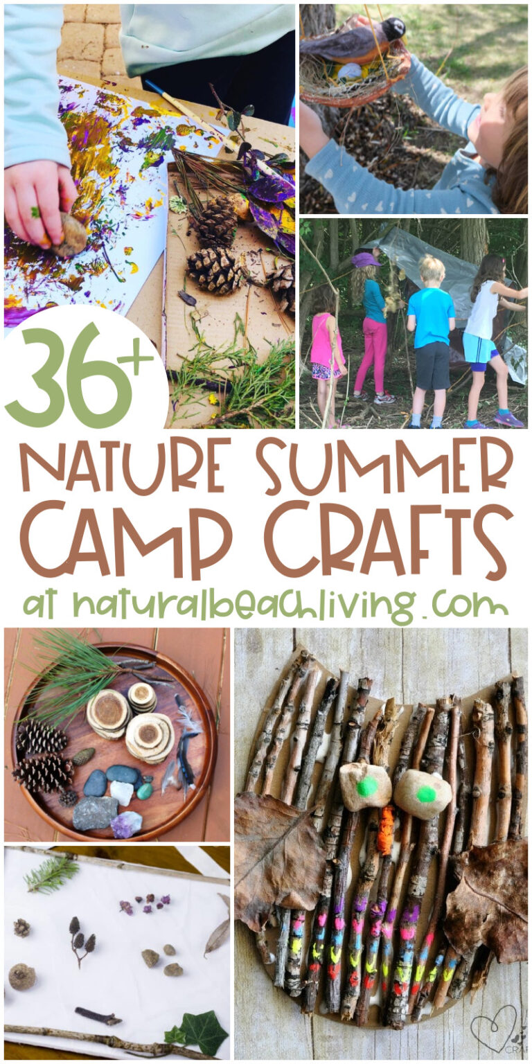 nature-summer-camp-theme-activities-natural-beach-living