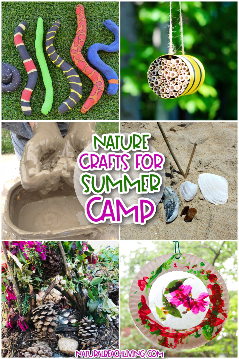 Nature Summer Camp Theme Activities