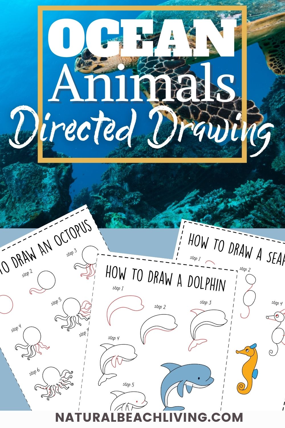 How to Draw Ocean Animals Natural Beach Living