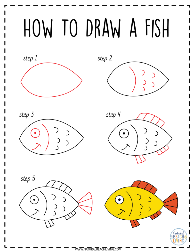 How To Draw Ocean Animals Natural Beach Living