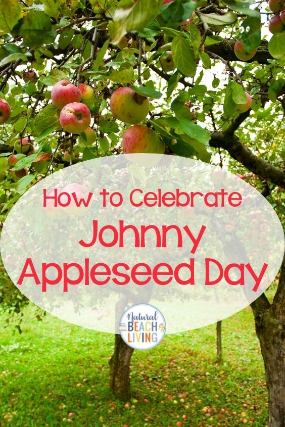 The Best Johnny Appleseed Activities. Amazing Johnny Appleseed Lesson Plans for Kindergarten, Preschool and early elementary. Including Johnny Appleseed Printables, Crafts, and lots of ways to celebrate Johnny Appleseed Day!