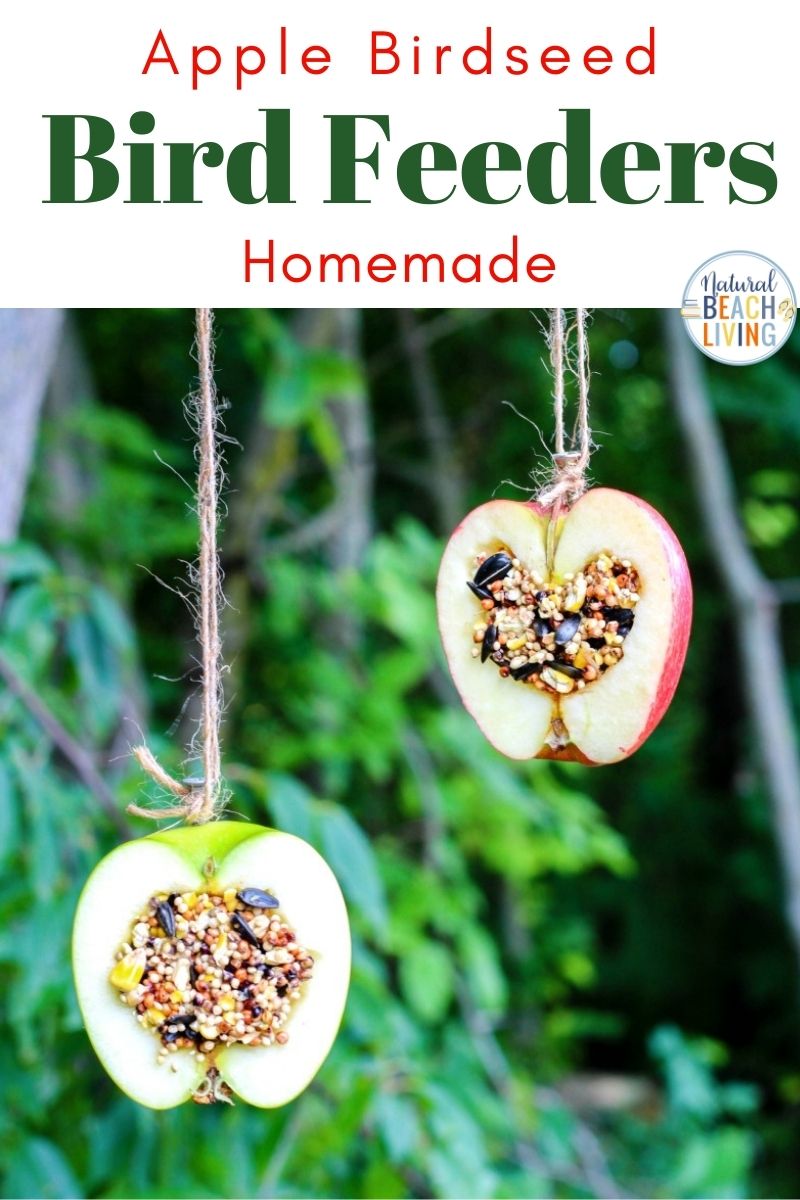 How to Make Apple Birdseed Homemade Bird Feeders, Apple Bird Feeders, These APPLE BIRDSEED BIRD FEEDERS ARE THE BEST! Your backyard birds will flock to your yard with these Easy bird feeders. DIY bird feeders are a great family craft and a fun way to learn about nature. Adding in apples for fall is an extra special bird treat, Homemade Bird Treats, From How to Make bird seed ornaments to DIY birdseed ornaments and Apple Activities for Kids, we have hundreds of fall ideas and activities