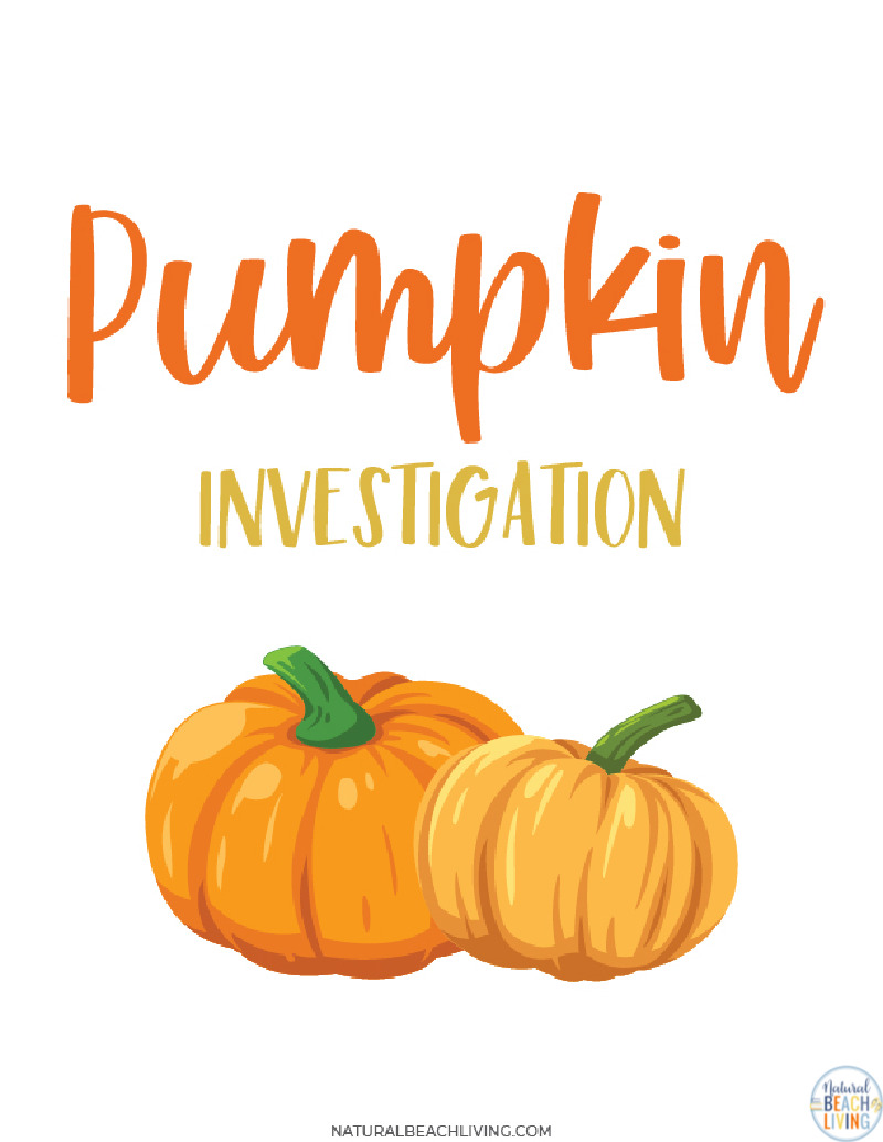 Pumpkin Investigation Worksheets and Activity – This free printable activity and fall fun with this pumpkin investigation activity and parts of a pumpkin activity. They will be asked to collect information for a My Pumpkin Investigation Worksheet by doing a hands-on investigations - Yay Science for kids and fall coloring page