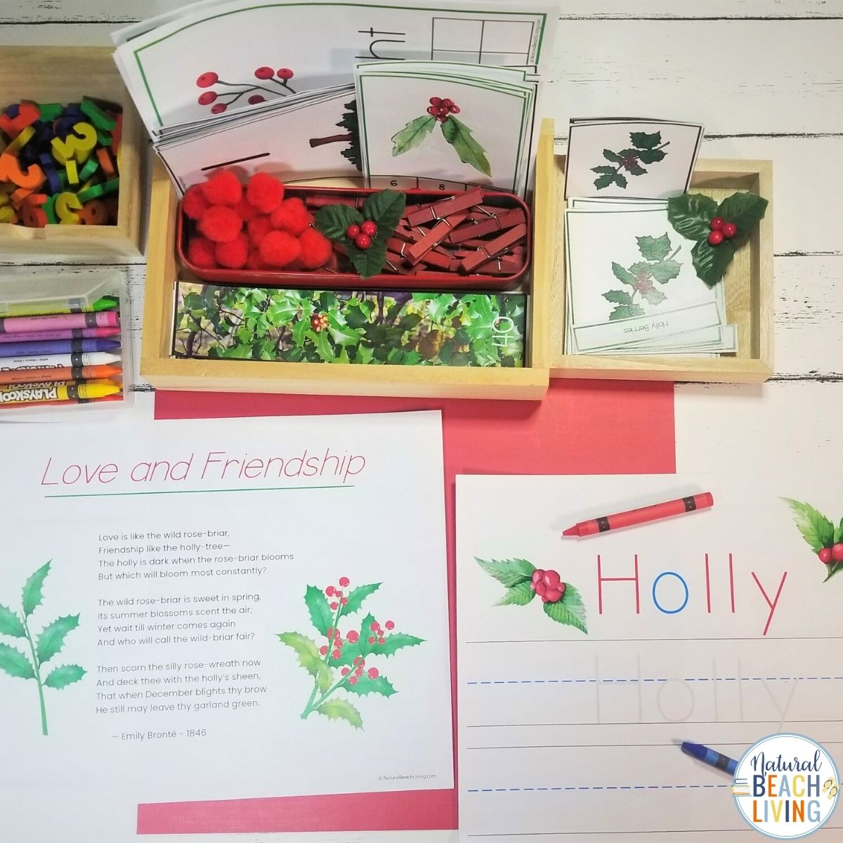 Holly Tree Theme Unit for 3-9 year olds. This is an amazing winter theme full of learning opportunities. You'll get Montessori 3 part cards, Holly Coloring Pages, Holly Tree Handwriting Pages, Winter Poetry and Writing Prompts, Holly Tree Life Cycle with Control Chart, Holly Tree Sequencing Cards, and Tons of early math skills activities
