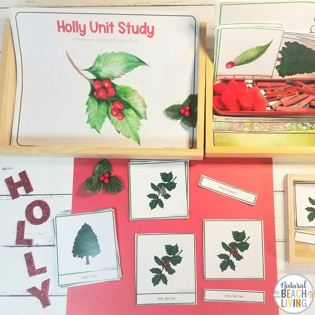 Holly Tree Theme Unit for 3-9 year olds. This is an amazing winter theme full of learning opportunities. You'll get Montessori 3 part cards, Holly Coloring Pages, Holly Tree Handwriting Pages, Winter Poetry and Writing Prompts, Holly Tree Life Cycle with Control Chart, Holly Tree Sequencing Cards, and Tons of early math skills activities