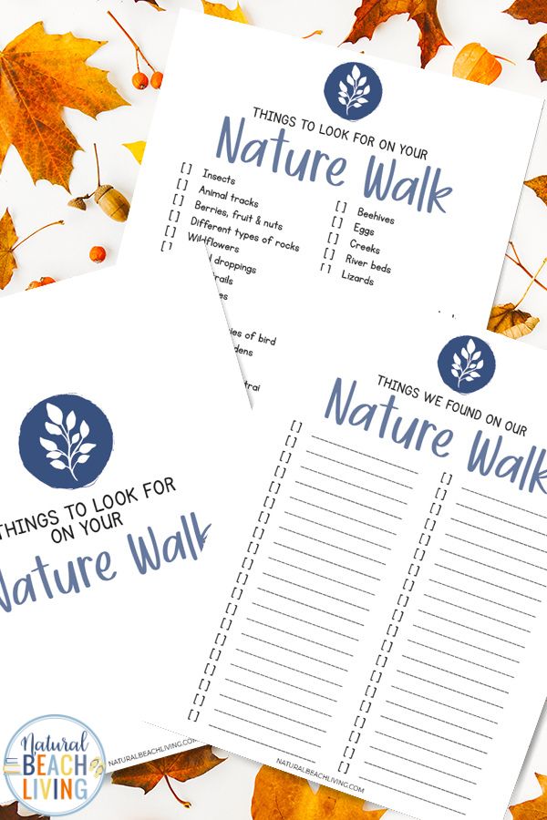 40+ Things To Do On A Nature Walk with free printable