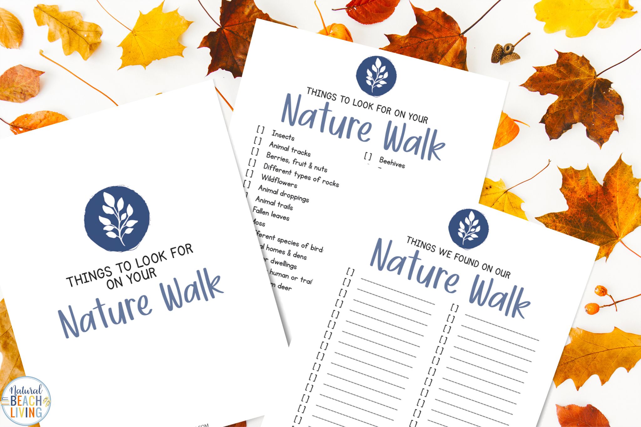 Don’t miss this free printable nature walk checklist and a scavenger hunt to encourage learning fun while exploring nature study with your kids this year.